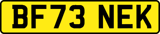 BF73NEK