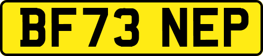 BF73NEP