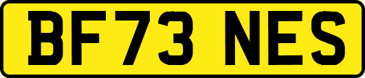 BF73NES