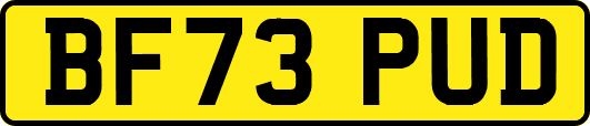 BF73PUD