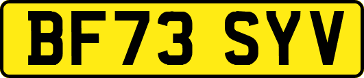 BF73SYV