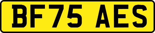 BF75AES