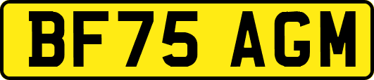 BF75AGM