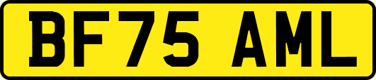 BF75AML