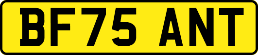 BF75ANT