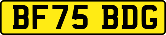 BF75BDG
