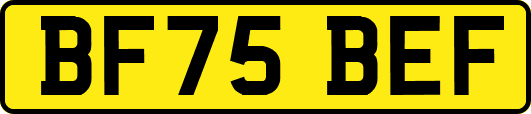 BF75BEF