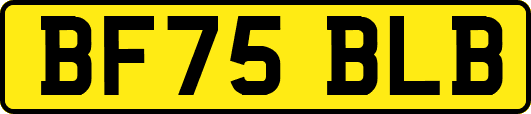 BF75BLB