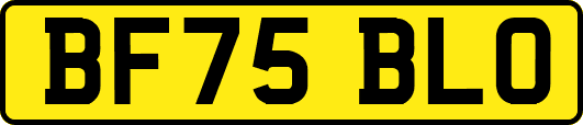 BF75BLO