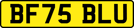 BF75BLU