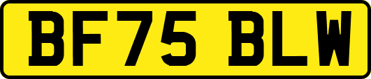 BF75BLW