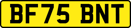 BF75BNT