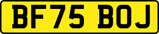 BF75BOJ