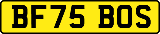 BF75BOS