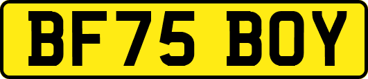 BF75BOY