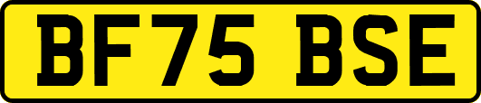 BF75BSE