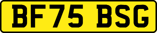 BF75BSG