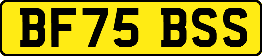 BF75BSS