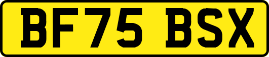 BF75BSX