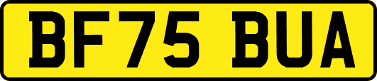BF75BUA