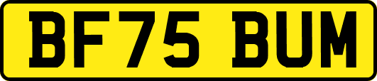 BF75BUM