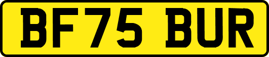 BF75BUR