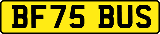 BF75BUS
