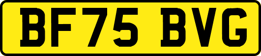 BF75BVG