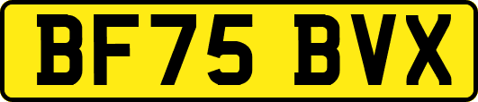 BF75BVX