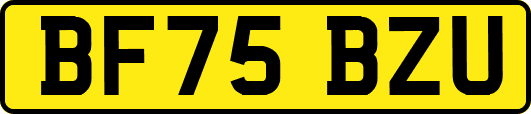 BF75BZU