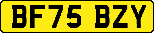 BF75BZY