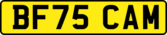 BF75CAM