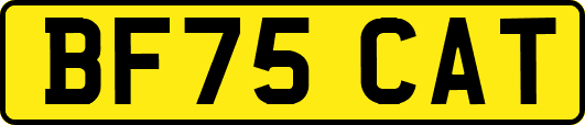 BF75CAT