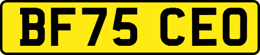 BF75CEO