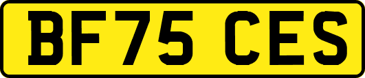 BF75CES