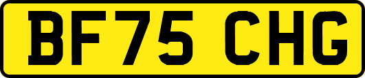 BF75CHG