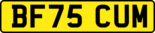 BF75CUM