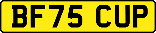 BF75CUP
