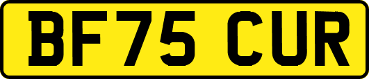 BF75CUR