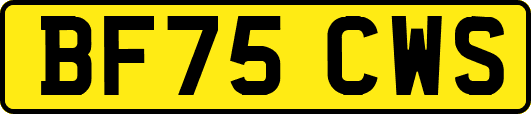 BF75CWS
