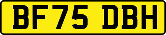 BF75DBH