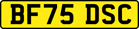 BF75DSC