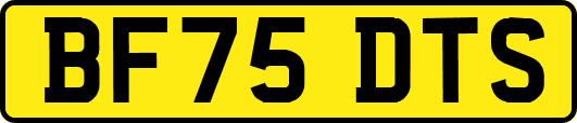 BF75DTS