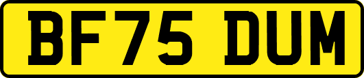 BF75DUM