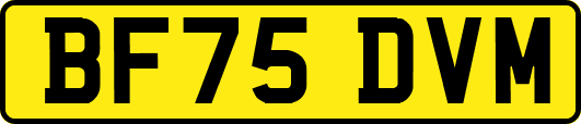 BF75DVM
