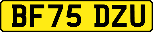 BF75DZU