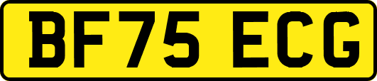BF75ECG