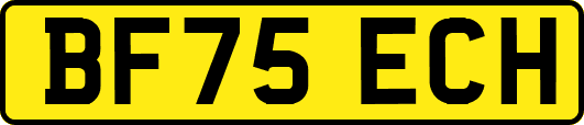 BF75ECH