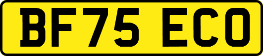 BF75ECO