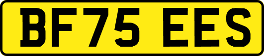BF75EES